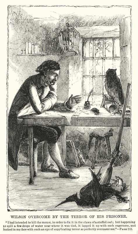 Wilson overvunnet av frykten til fangen hans (gravering) av Charles Altamont Doyle