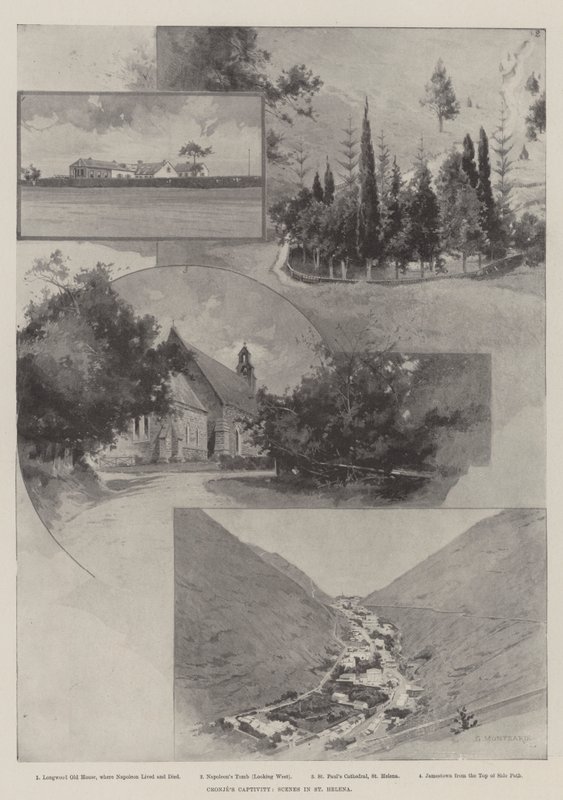 Cronjes fangenskap, scener i St. Helena av Charles Auguste Loye