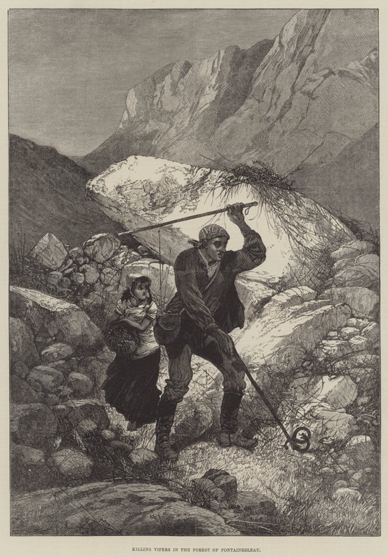 Drep huggorm i Fontainebleau-skogen av Charles Auguste Loye