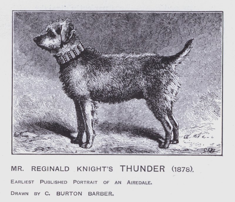 Mr Reginald Knight's Thunder av Charles Burton (after) Barber