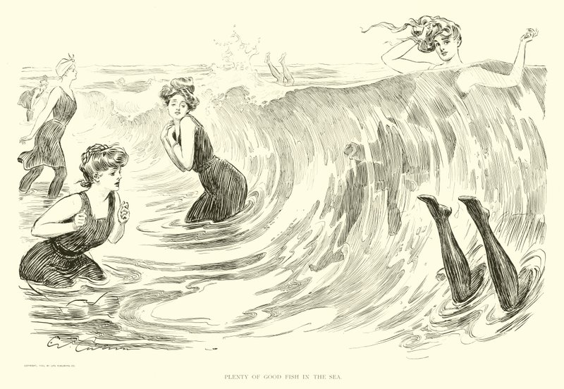 Illustrasjon for The Social Ladder (gravering) av Charles Dana Gibson