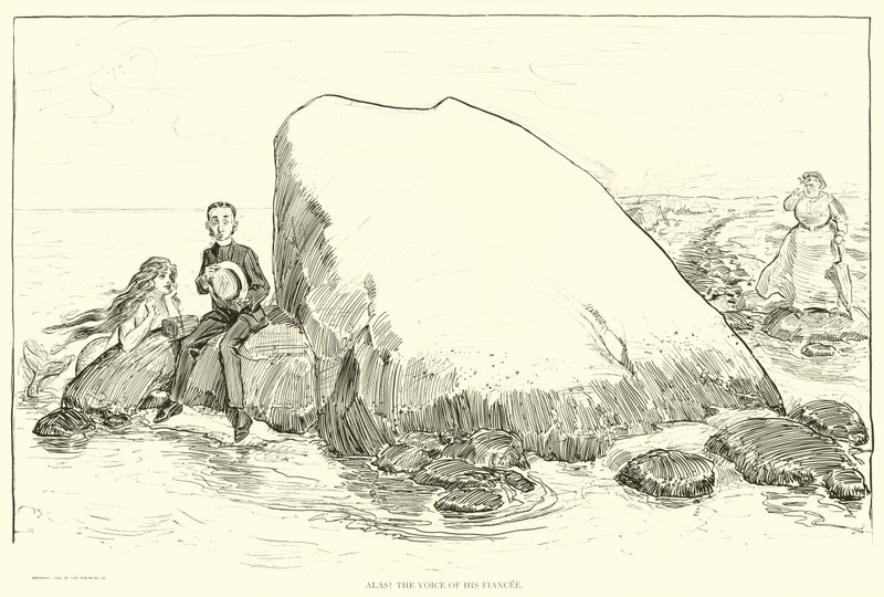Illustrasjon for The Social Ladder av Charles Dana Gibson