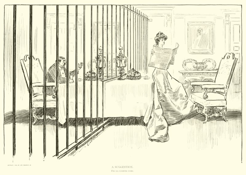 Illustrasjon for The Social Ladder av Charles Dana Gibson