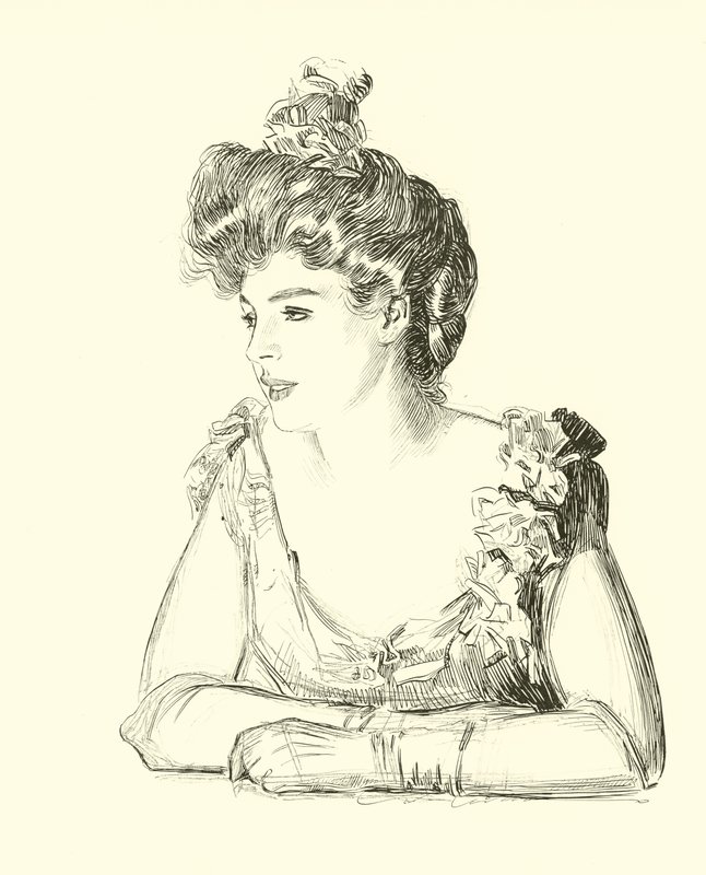 Illustrasjon for The Social Ladder av Charles Dana Gibson