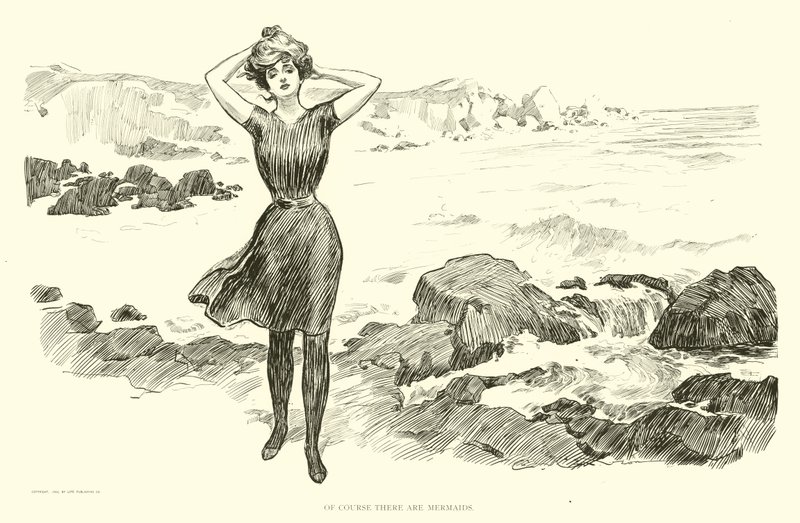 Illustrasjon for The Social Ladder av Charles Dana Gibson