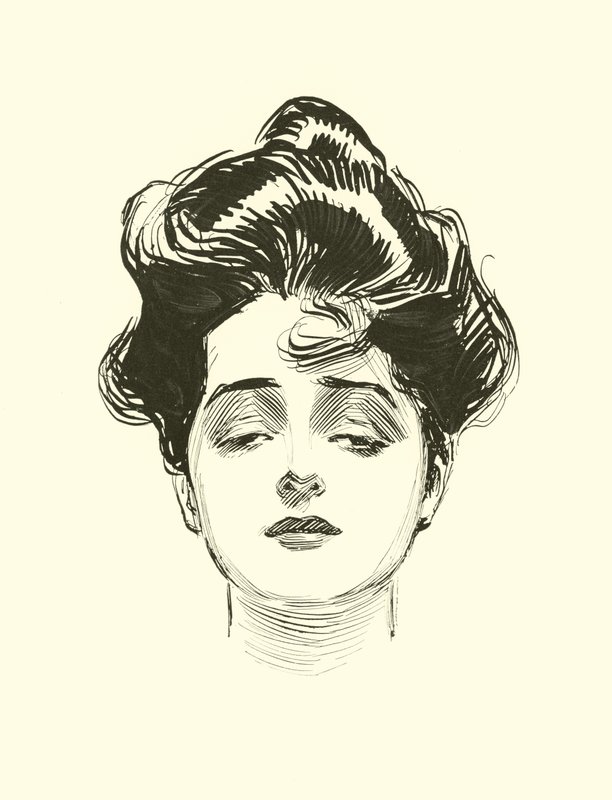 Illustrasjon for The Social Ladder av Charles Dana Gibson