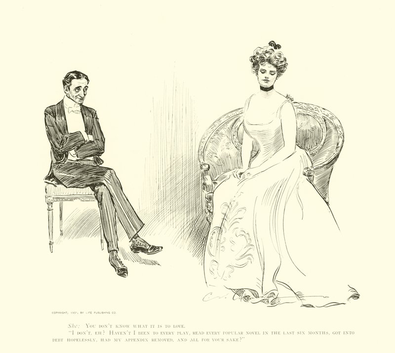 Illustrasjon for The Social Ladder av Charles Dana Gibson