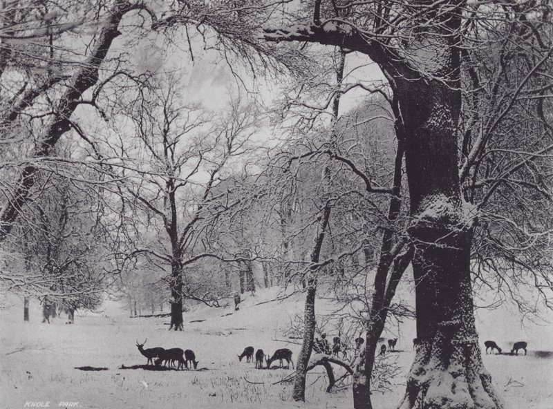 Knole Park (s/hvitt bilde) av Charles Essenhigh Corke