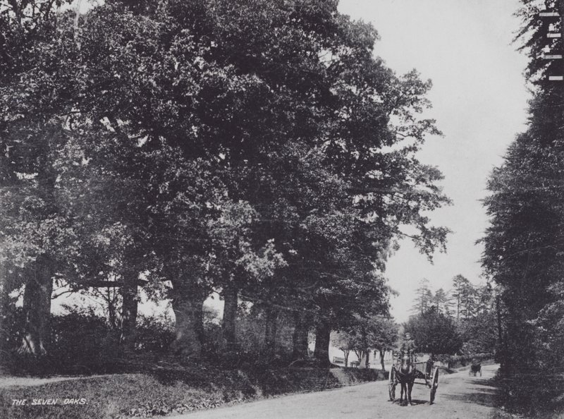 The Seven Oaks (s/hvitt bilde) av Charles Essenhigh Corke