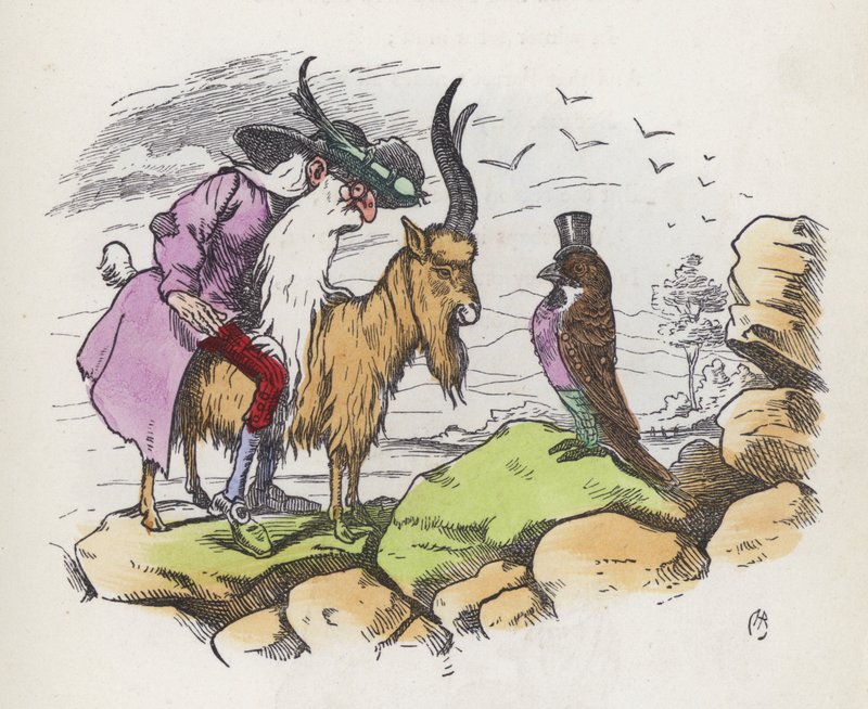 En høyst uforskammet fugl (farget gravering) av Charles Henry (after) Bennett