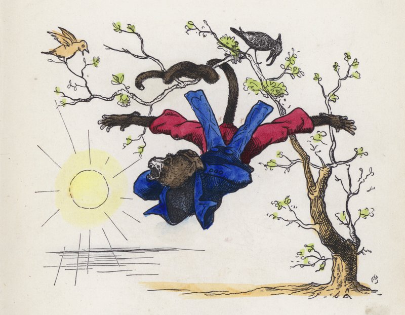 Ape som henger fra et tre ved halen (farget gravering) av Charles Henry (after) Bennett