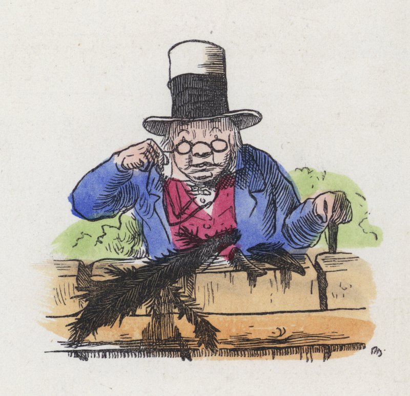 Rester av to skjærer på et hagegjerde (farget gravering) av Charles Henry (after) Bennett