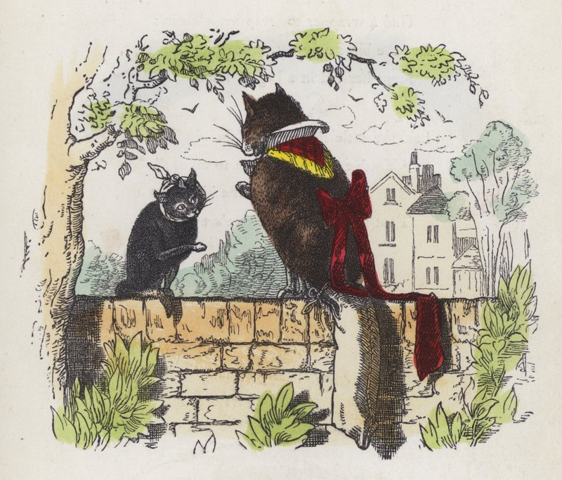 To katter på en hagevegg (farget gravering) av Charles Henry (after) Bennett