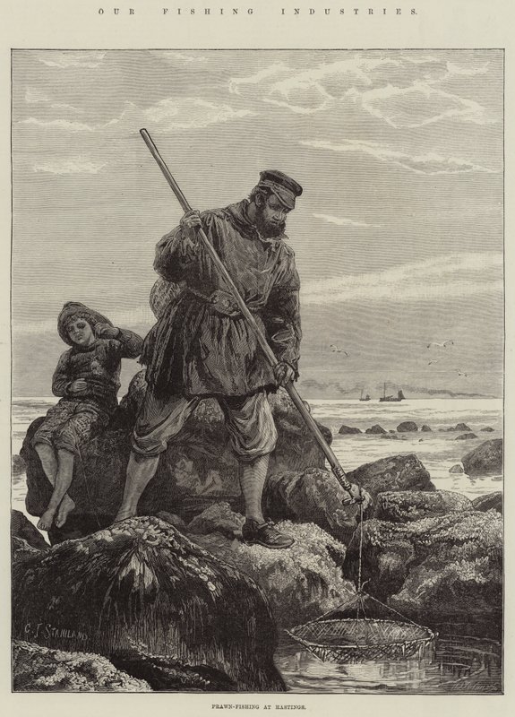 Våre fiskeindustrier, rekefiske i Hastings av Charles J. Staniland