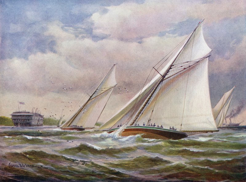 Hvite vinger av Charles John de Lacy