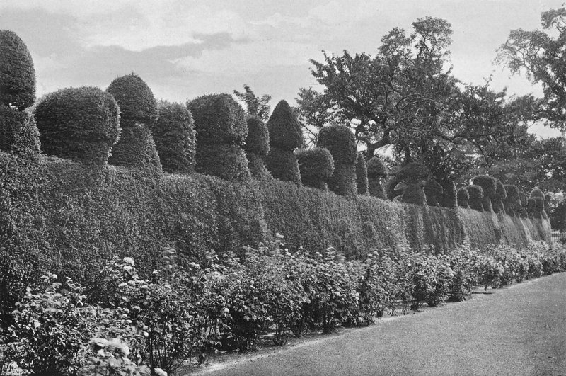 Fulford Hall: Eksentrisk Topiary Work av Charles Latham
