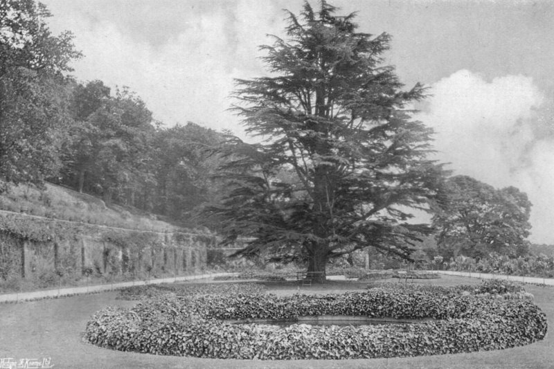 På plenen av Charles Latham