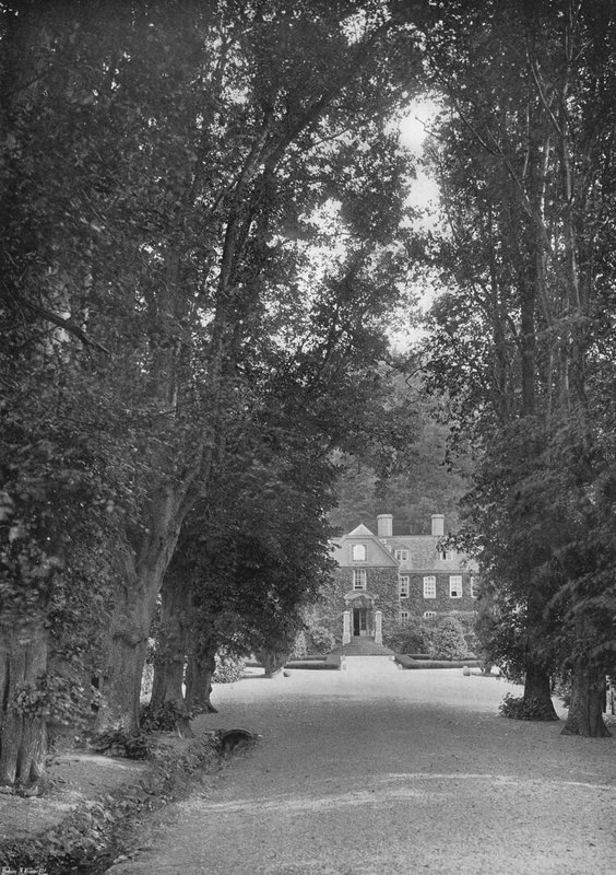 The Avenue (s/hvitt bilde) av Charles Latham