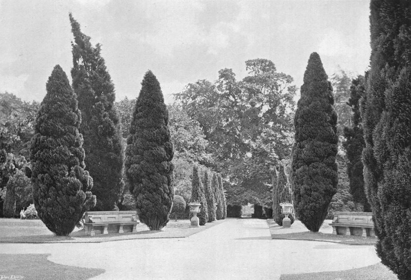 The Crossways, South Garden av Charles Latham