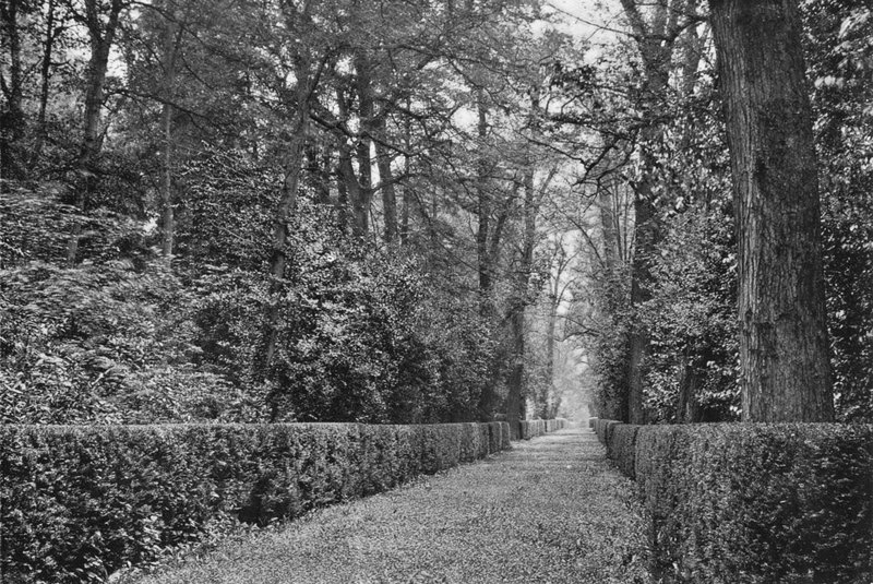 Hundeturen av Charles Latham