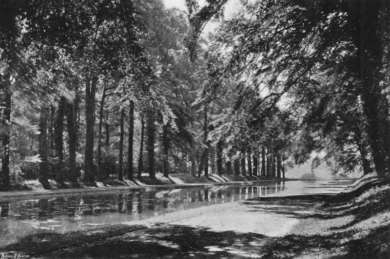 The T Pond (s/hvitt bilde) av Charles Latham