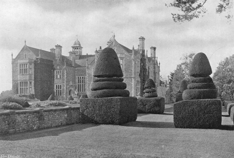 Barlindplenen av Charles Latham