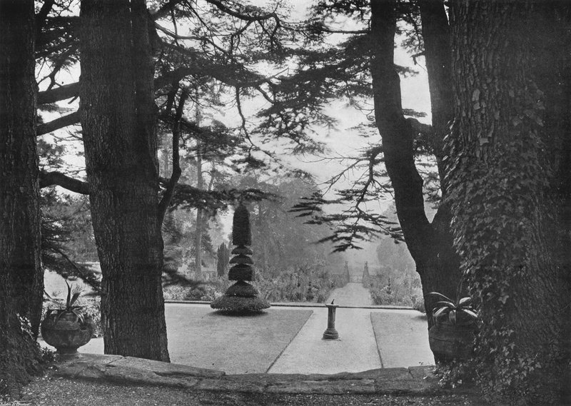 Under Cedars av Charles Latham