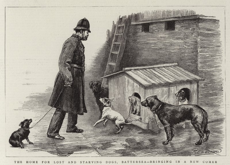 Hjemmet for fortapte og sultne hunder, Battersea, og henter inn en nykommer av Charles Paul Renouard