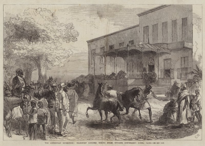 Abyssinian Expedition, transportoffiserer kjøper muldyr overfor Shepheard