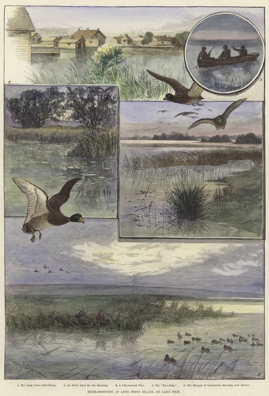 Andeskyting på Long Point Island av Charles Whymper