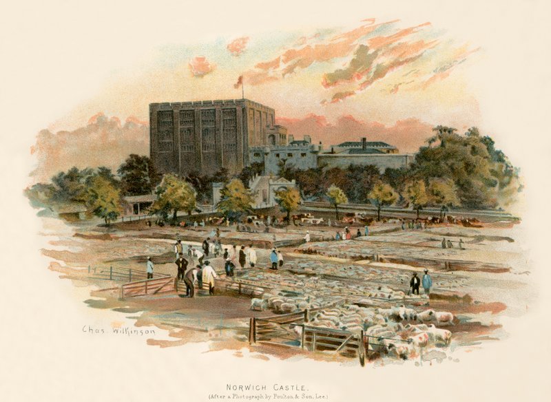 Norwich castle av Charles Wilkinson