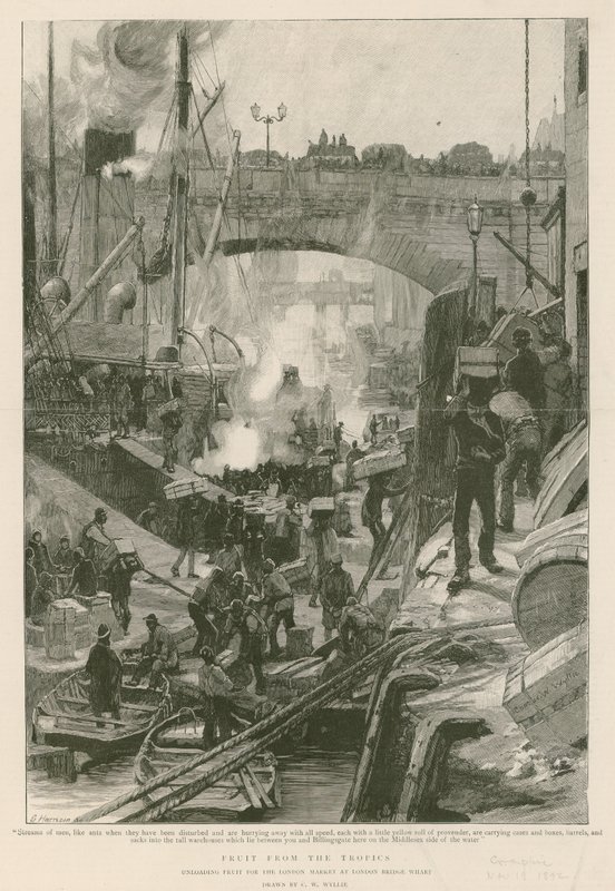Frukt fra tropene (gravering) av Charles William Wyllie