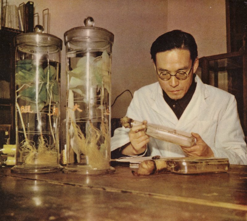Kinesisk landbrukskjemiker fra Changchun Research Institute People