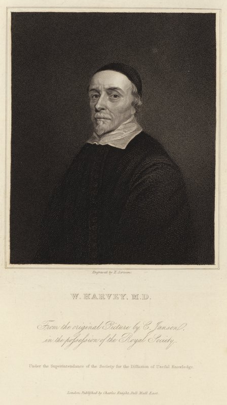 William Harvey av Cornelius Janssen van Ceulen
