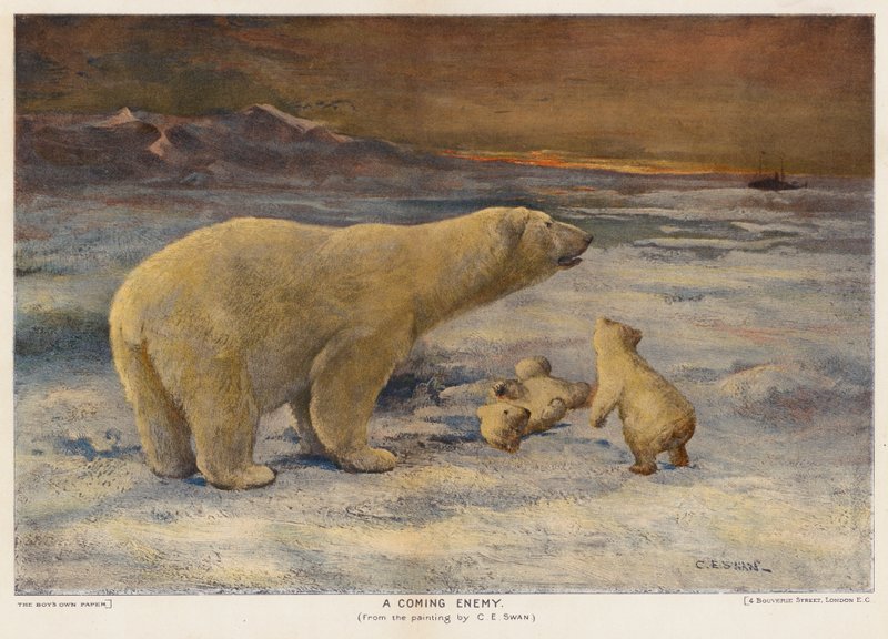 En kommende fiende (farge litho) av Cuthbert Edmund Swan