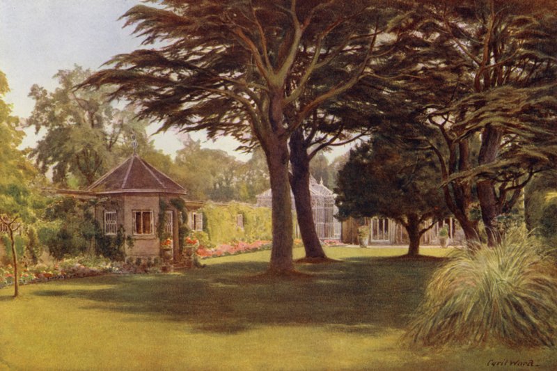 "En sedertre spredte sine mørkegrønne lag med skygge," Osborne Cottage (litho-farge) av Cyril Ward