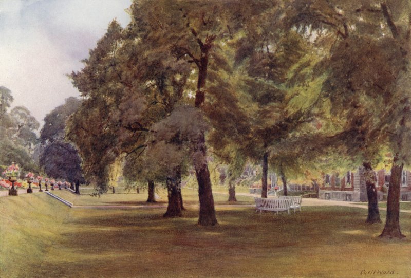 Trær på plenen ved Marlborough House (farge litho) av Cyril Ward