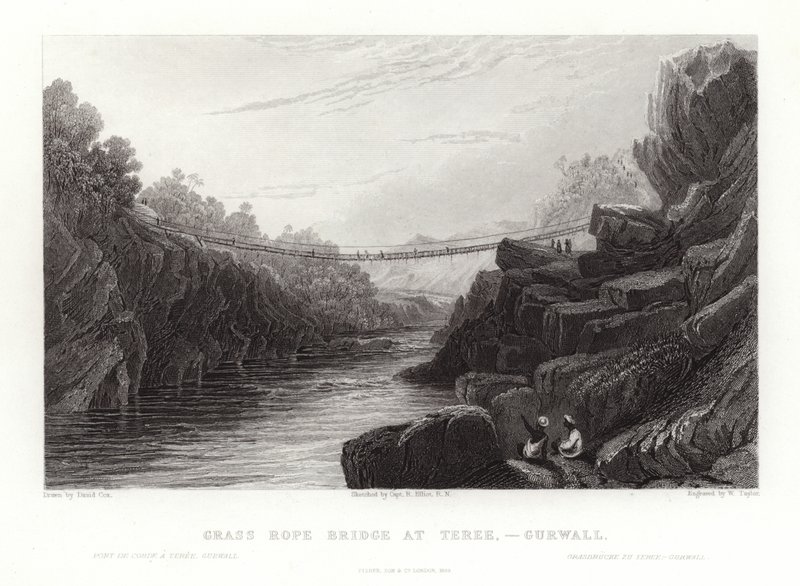 Gresstaubro av David Cox