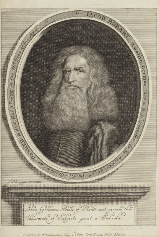 Jacob Bobart av David Loggan