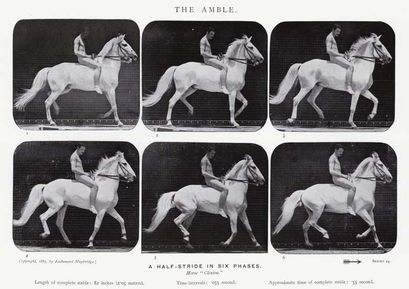 Eadweard Muybridge: The Amble av Eadweard Muybridge