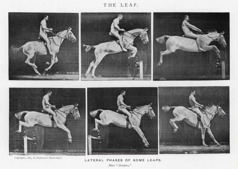 Eadweard Muybridge: The Leap (s/hvitt-bilde) av Eadweard Muybridge