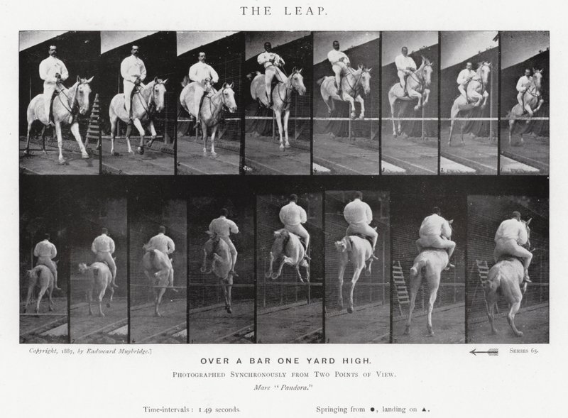 Eadweard Muybridge: The Leap (s/hvitt-bilde) av Eadweard Muybridge