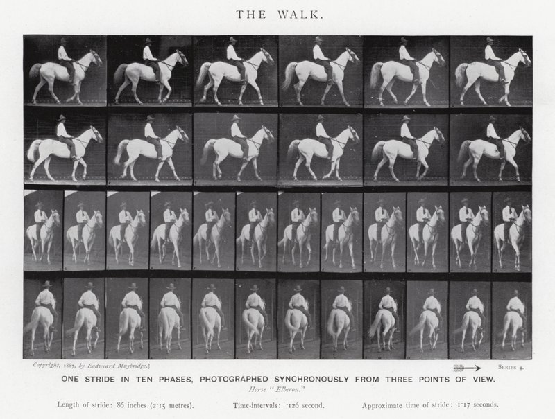 Eadweard Muybridge: The Walk (s/hvitt-bilde) av Eadweard Muybridge
