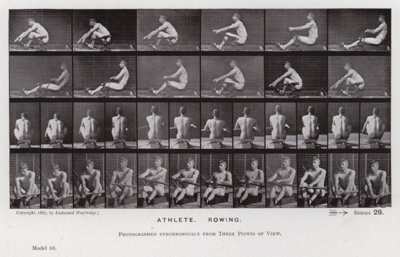Den menneskelige figuren i bevegelse: idrettsutøver, roing (s/hvitt-bilde) av Eadweard Muybridge