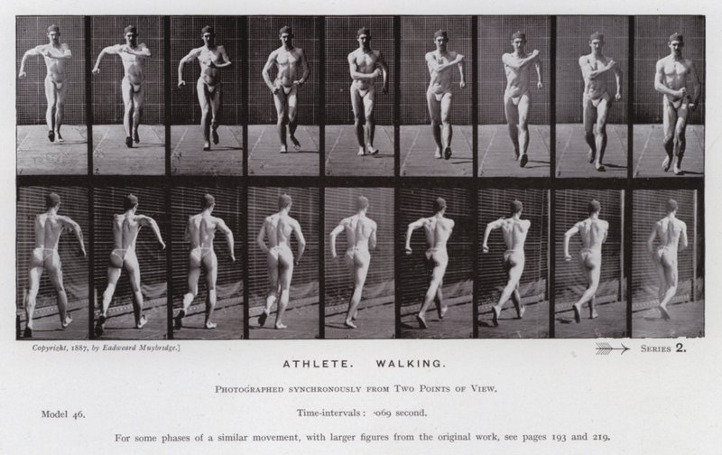 Den menneskelige figuren i bevegelse: idrettsutøver, gående (s/hvitt-bilde) av Eadweard Muybridge