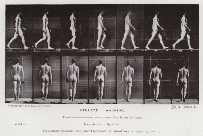 Den menneskelige figuren i bevegelse: idrettsutøver, gående (s/hvitt-bilde) av Eadweard Muybridge