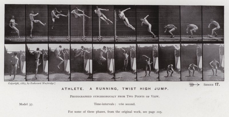 The Human Figure in Motion: Atlet, et løpende, vriende høydehopp (s/hvitt-bilde) av Eadweard Muybridge