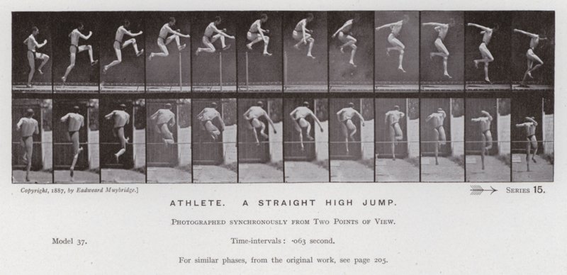 The Human Figure in Motion: Atlet, et rett høydehopp (s/hv-bilde) av Eadweard Muybridge