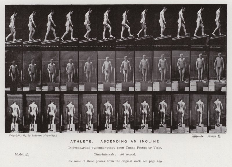 Den menneskelige figuren i bevegelse: idrettsutøver, som stiger opp en stigning (s/hvitt-bilde) av Eadweard Muybridge
