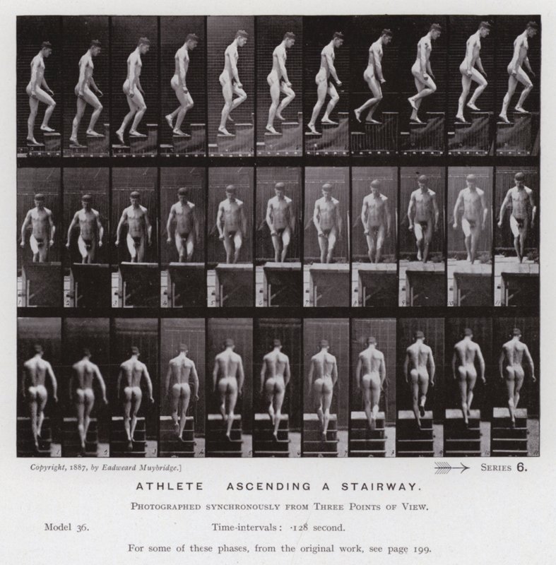 Den menneskelige figuren i bevegelse: idrettsutøver som går opp i en trapp (s/hvitt-bilde) av Eadweard Muybridge